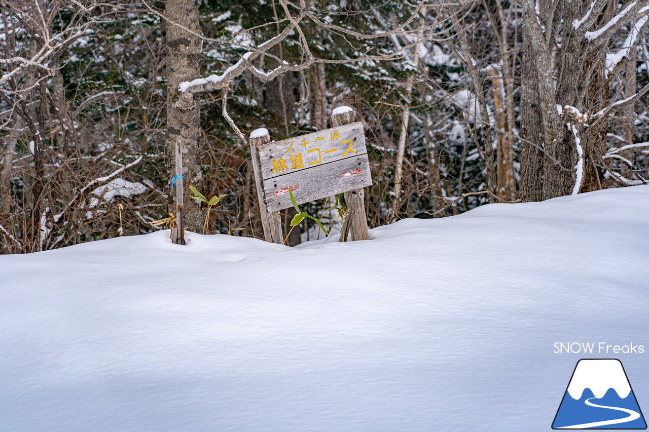 日高国際スキー場｜北海道の背骨・日高山脈を滑る！良好な雪質とロングコースが魅力のローカルゲレンデ♪